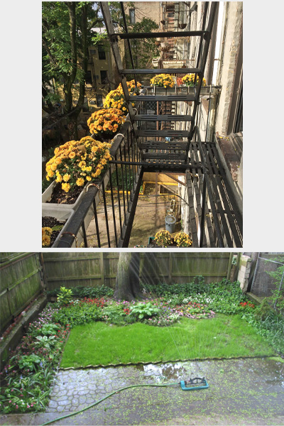 ComboPhotGardenFlowerBoxes.jpg